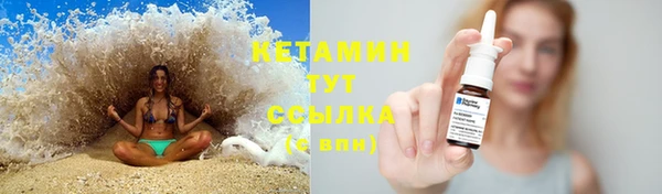 дживик Данков