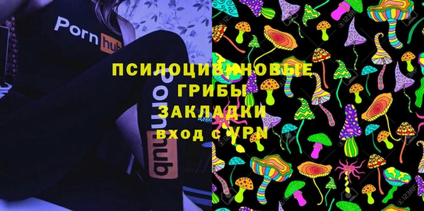 МДПВ Алексин