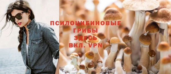 хмурый Сатка