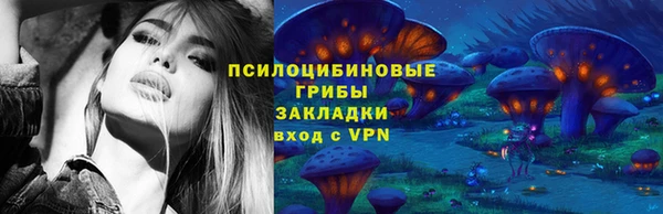 дурь Саяногорск