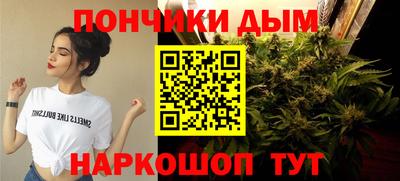 сатива Коммунар
