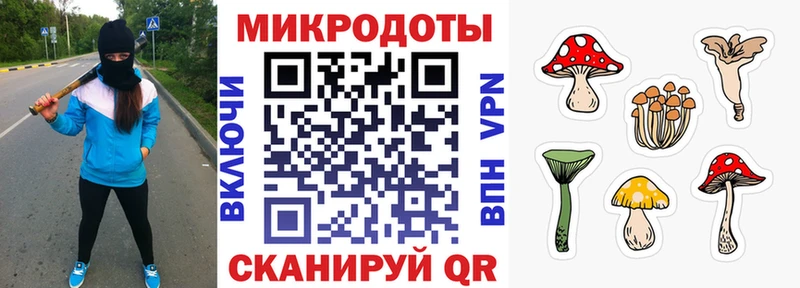 Галлюциногенные грибы мухоморы  даркнет сайт  Туймазы 