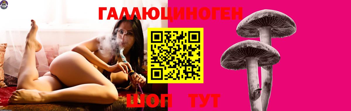 Туймазы  Галлюциногенные грибы прущие грибы  Вход с VPN 